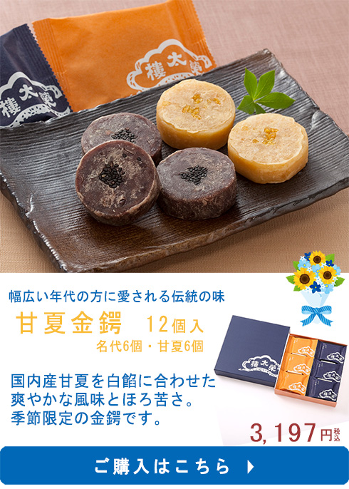 甘夏12