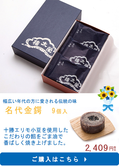 金鍔9
