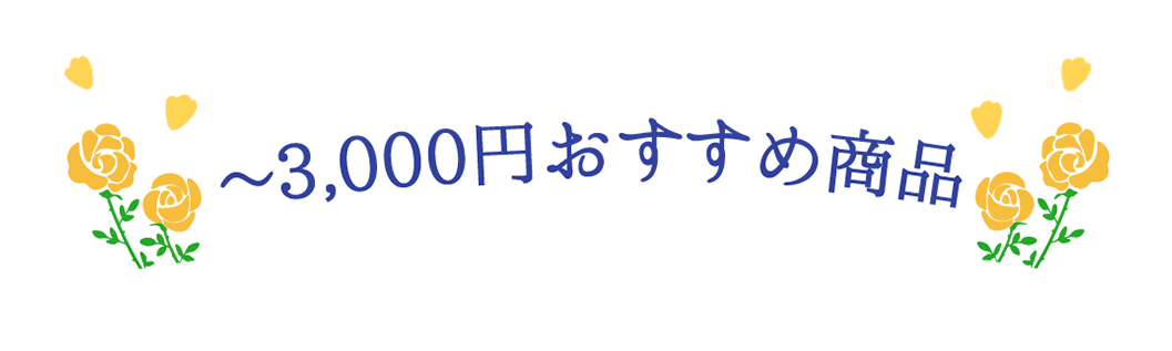 ~3,000円おすすめ商品