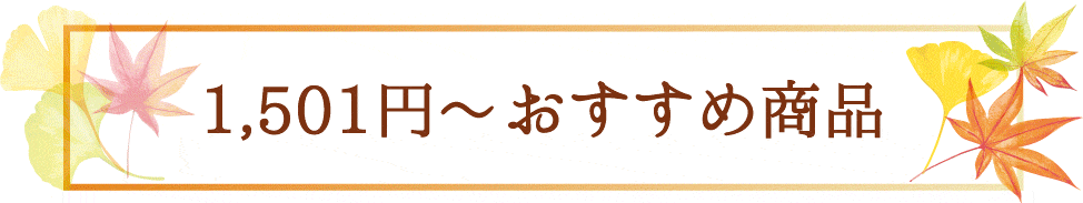 1,501円～ おすすめ商品