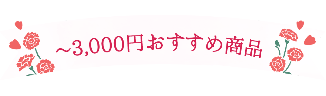 ~3,000円おすすめ商品