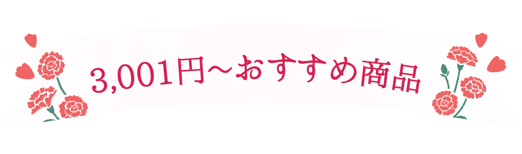 3,001円~おすすめ商品