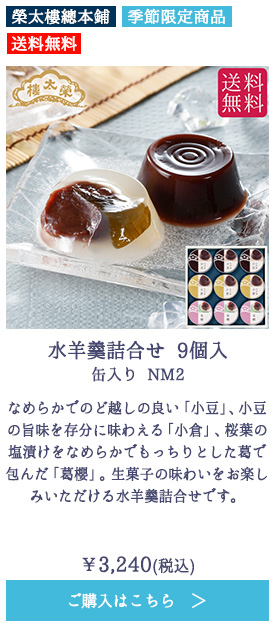 水羊羹詰合せ 9個入 缶入り NM2【送料無料】