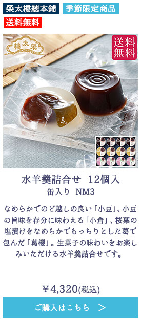 水羊羹詰合せ 12個入 缶入り NM3【送料無料】