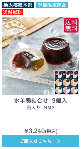 水羊羹詰合せ 9個入 缶入り NM2【送料無料】